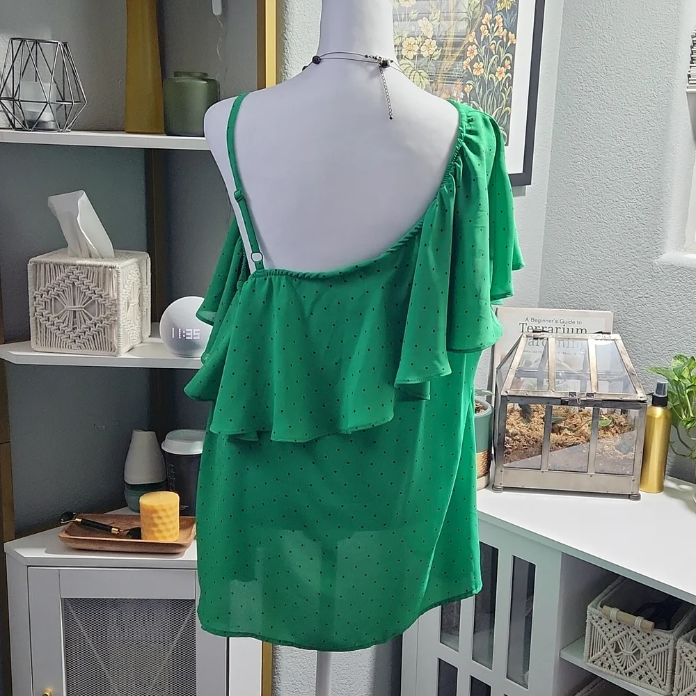 Torrid Blouse - Picture 3 of 9